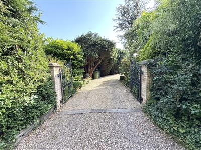 Picture 10